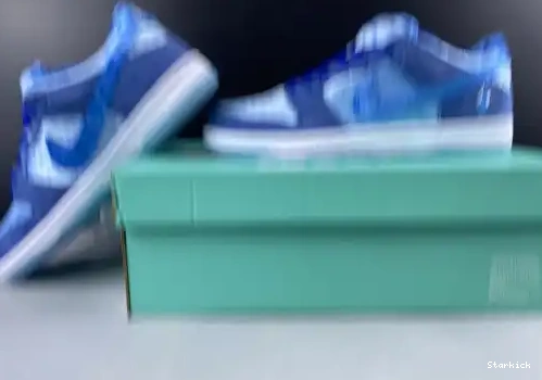 Low SB Nike 400 QS Dunk CT2552 0502